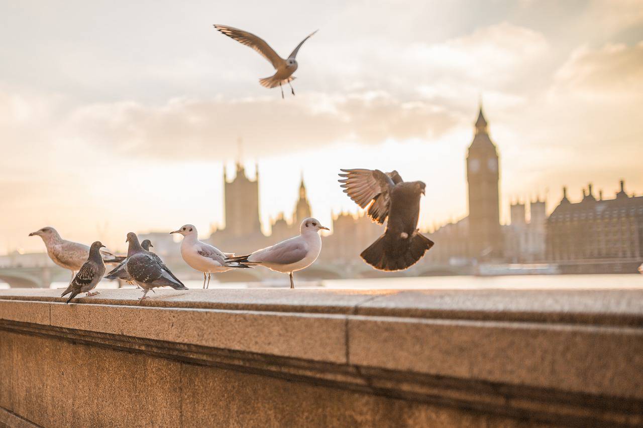 裝潢